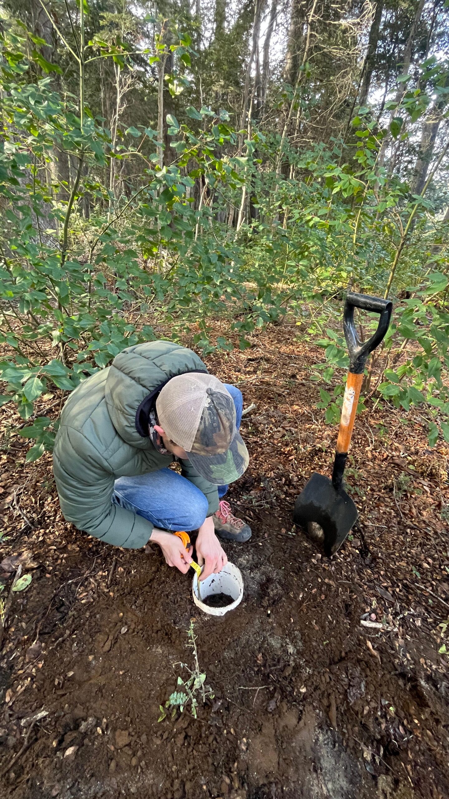 whatsapp image 2025 10 22 at 4.43.39 pm