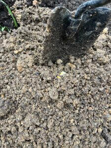 whatsapp image 2025 10 22 at 4.47.46 pm