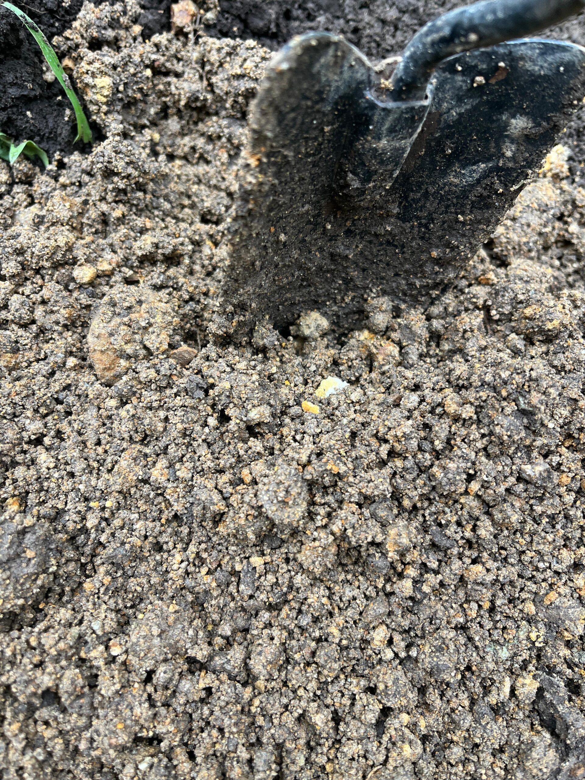 whatsapp image 2025 10 22 at 4.47.46 pm