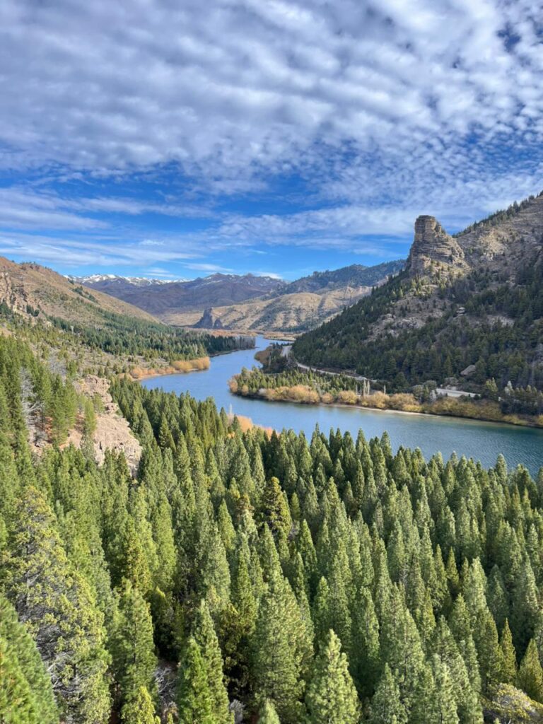 whatsapp image 2025 10 27 at 3.49.02 pm